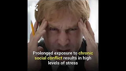 Kako stres uničuje naš imunski sistem, dr. Bruce Lipton
